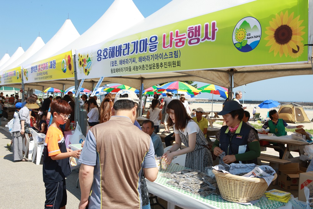 용호해바라기마을축제(08,29)