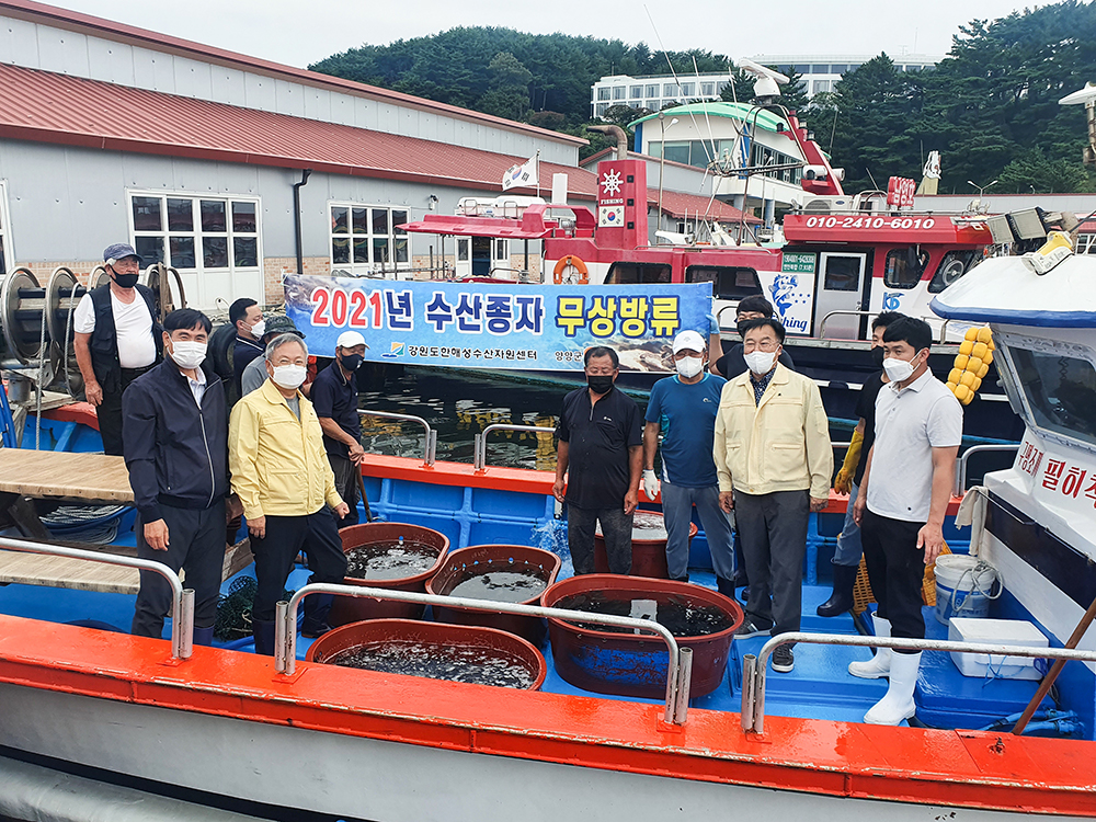 20210831 수산종자 무상방류-낙산항 넙치