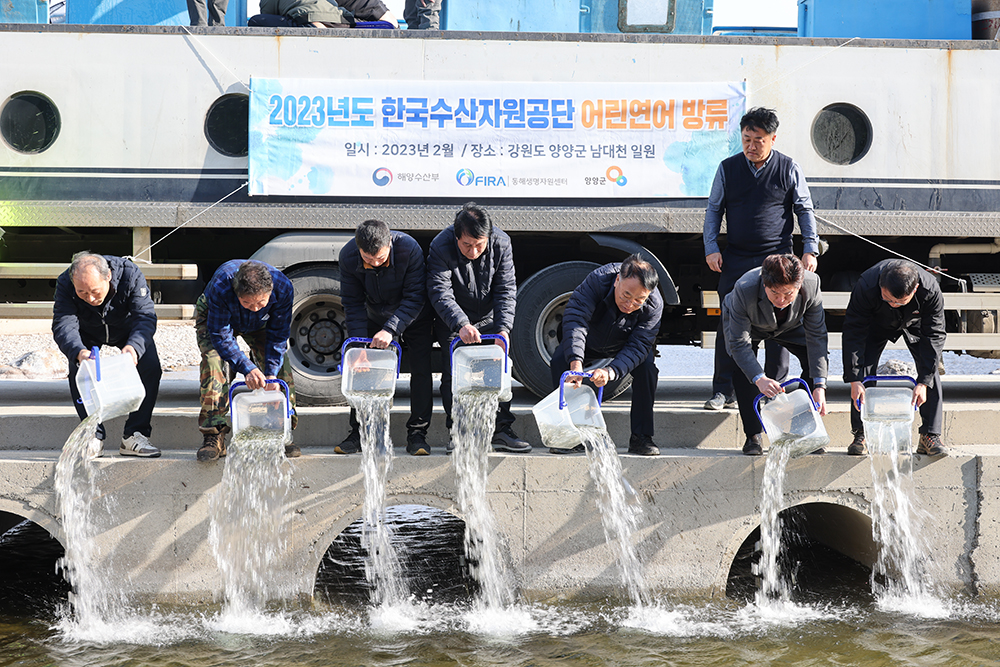 20230228 어린연어 방류행사-어성전